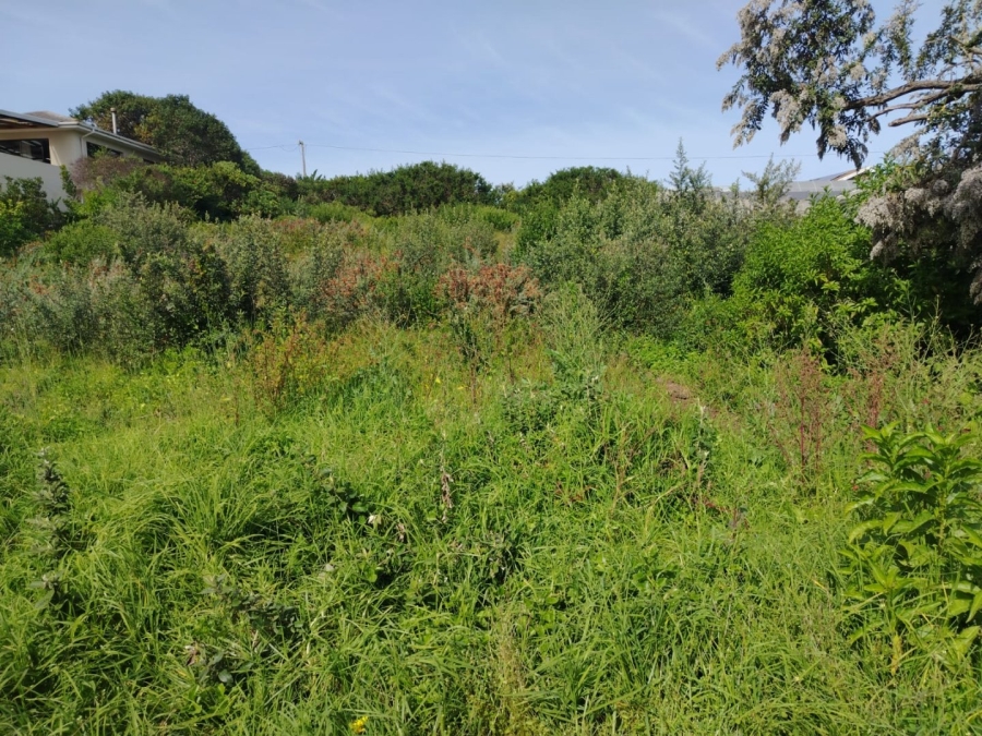 Commercial Property for Sale in Kingfisher Creek Western Cape